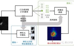 CNN Model Visualization Method for SAR Image Target Classification