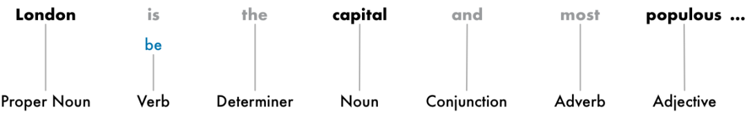 Master Natural Language Processing in 8 Steps (Python Code)