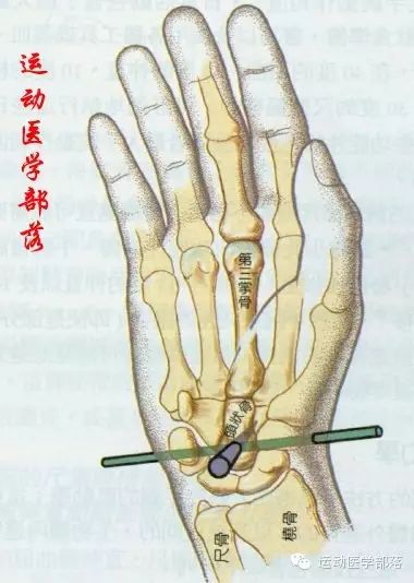 Kinesiology - Study Notes on Wrist and Hand Joints