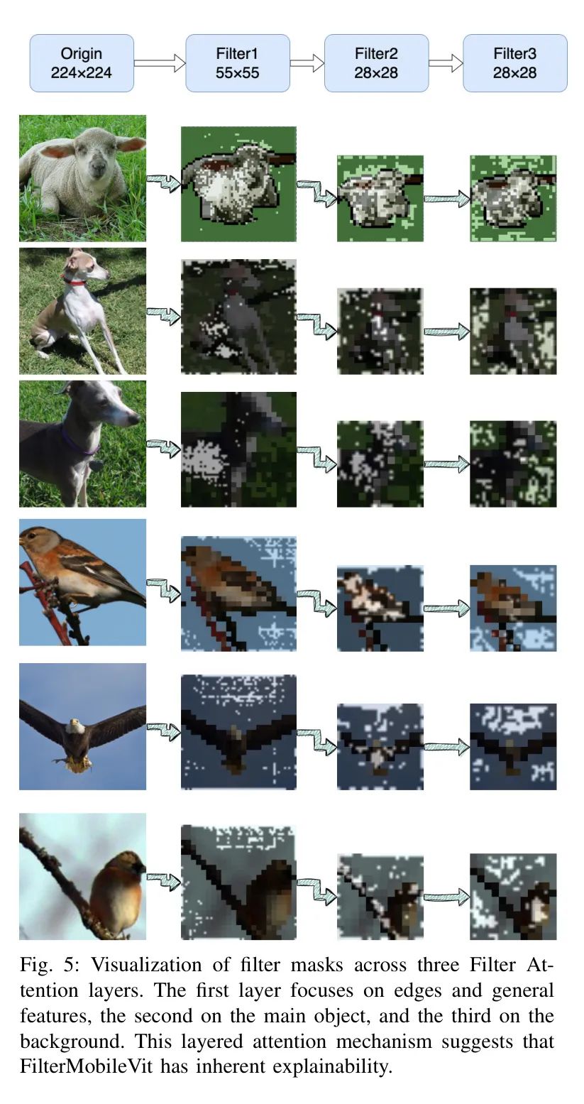 Innovative Attention Mechanism Proposed by UESTC Improves MobileViT's Attention QKV Operations