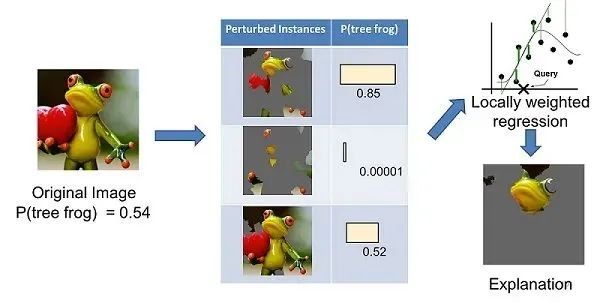 Summary of Explainable Algorithms for Machine Learning Models