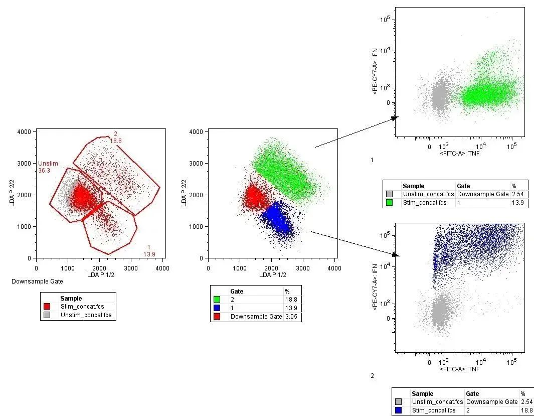 Illustrating The 10 Most Common Machine Learning Algorithms