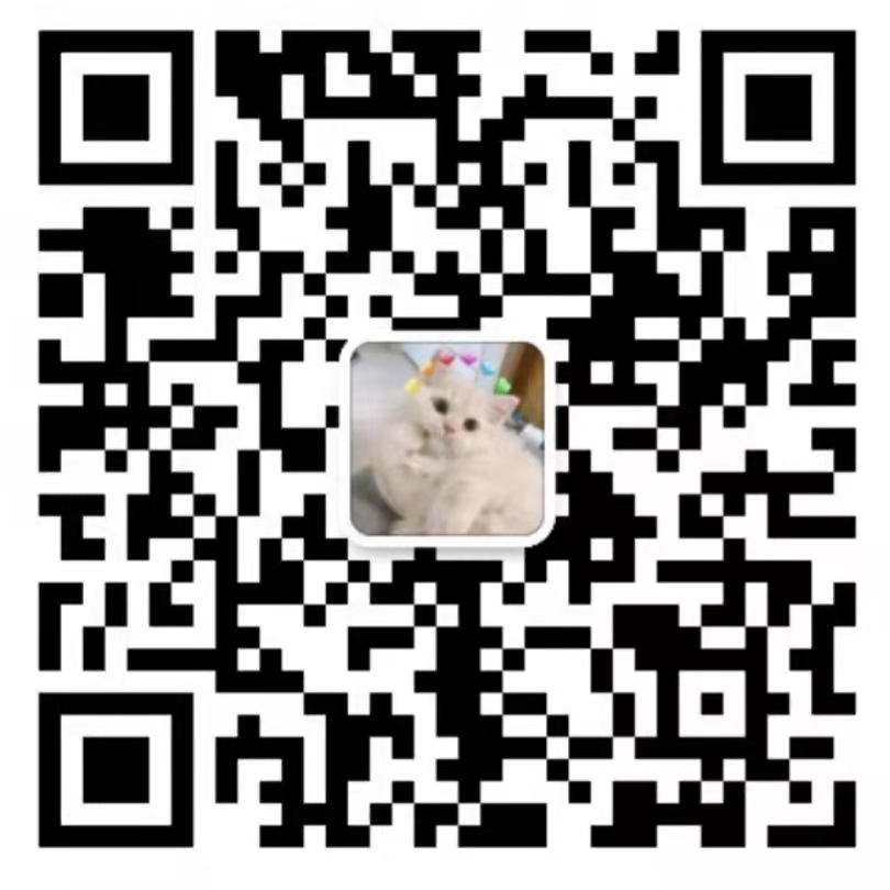 Optimizing PyTorch Speed And Memory Efficiency (2022)