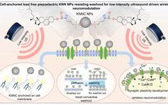 Cell-Anchored Lead-Free Piezoelectric KNN NPs for Neuromodulation