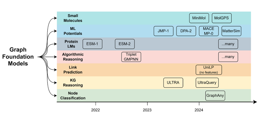 Foundation Models of Graphs and Geometric Deep Learning