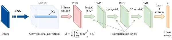 Essential Readings in Computer Vision: Tracking, Compression, Classification, and Recognition