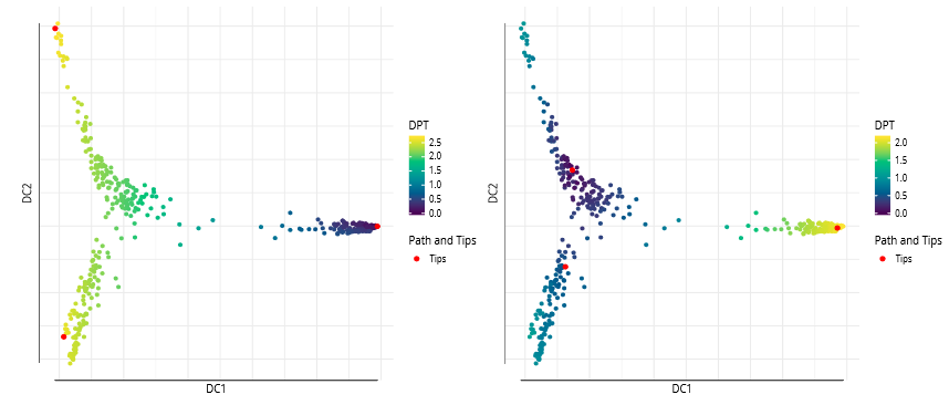 Single-Cell RNA-Seq Analysis: Diffusion Pseudotime Reconstruction of Single-Cell Lineage Branching