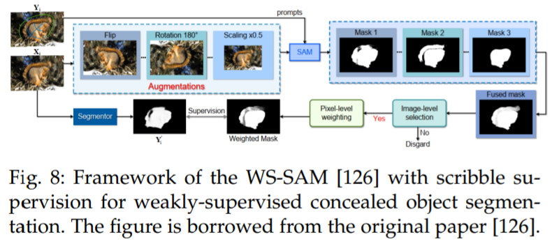 Overview: A Comprehensive Survey on Segment Anything Model (SAM)