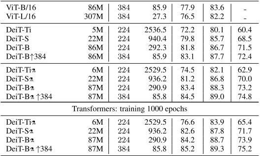 Fast and Effective Overview of Lightweight Transformers in Various Fields