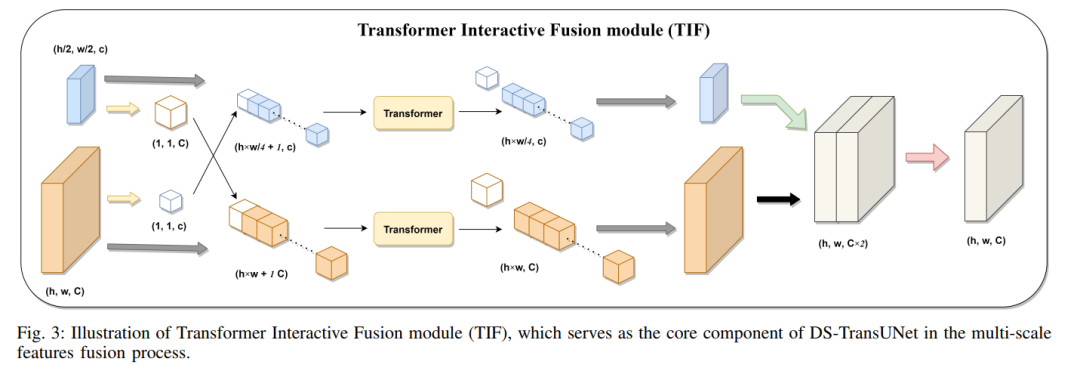 When Transformer Meets U-Net: A Review of Medical Image Segmentation