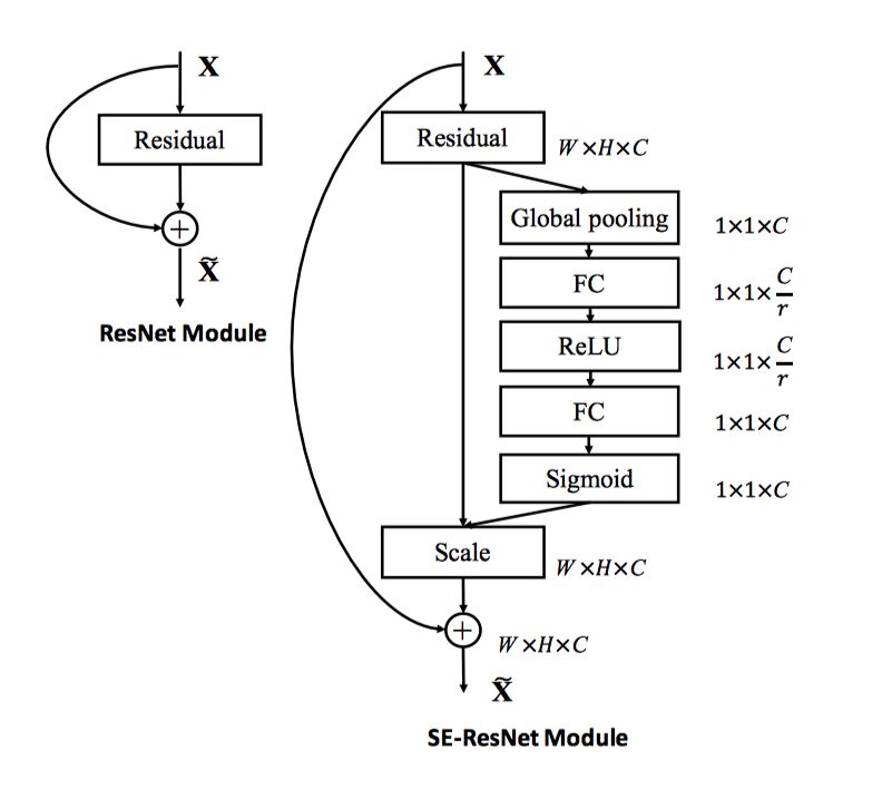 Image Classification Network SE_ResNeXt Using PaddleFluid and TensorFlow