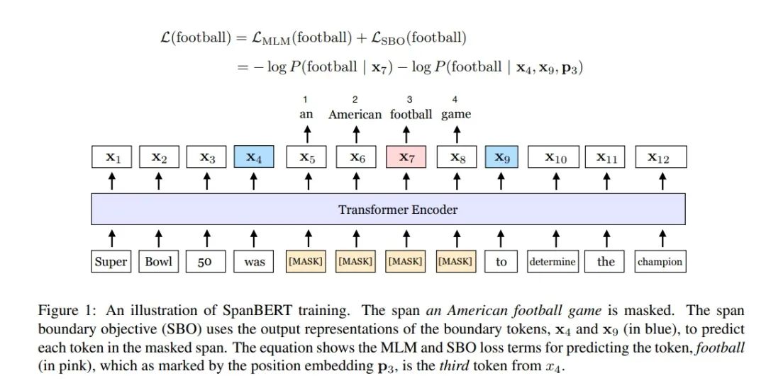 Understanding Bert's MASK Mechanism and Its Variants