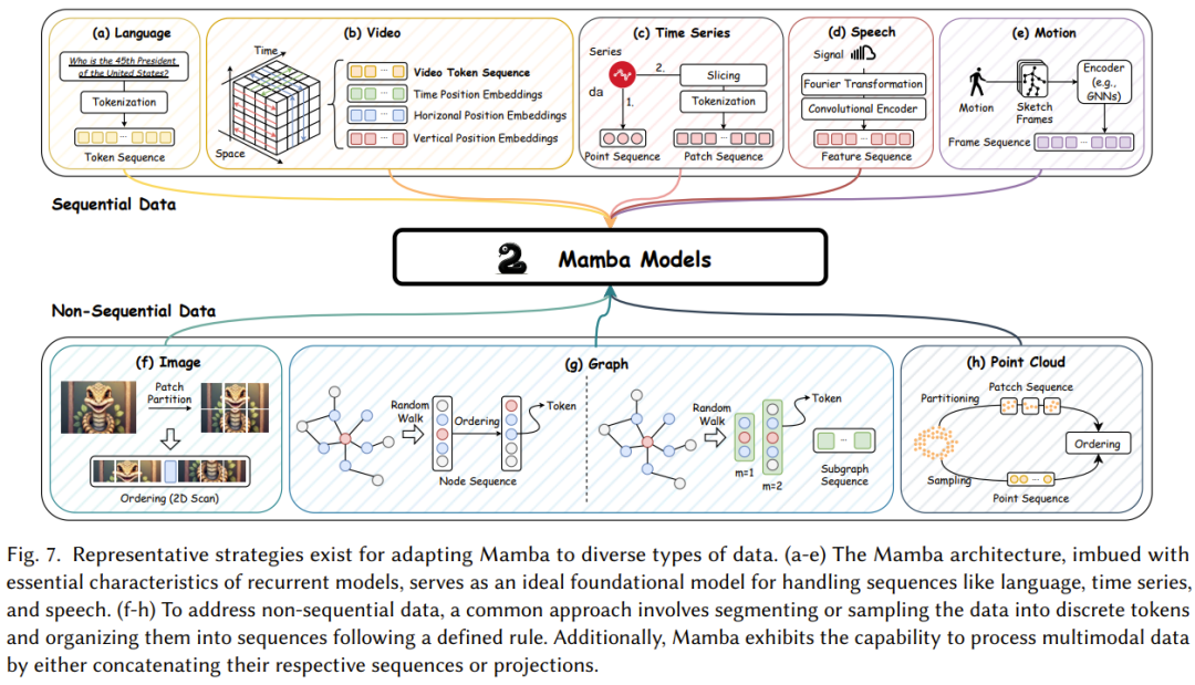 Understanding Mamba: The Strongest Competitor to Transformers