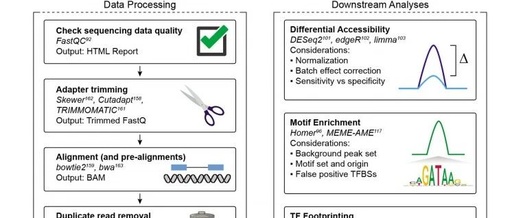Omni-ATAC: Updated and Optimized ATAC-seq Protocol