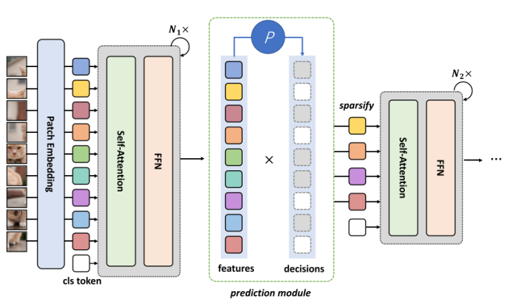 Fast and Effective Overview of Lightweight Transformers in Various Fields