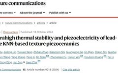 Innovative Diffusion-Type PPB Interface in KNN Piezoelectric Ceramics
