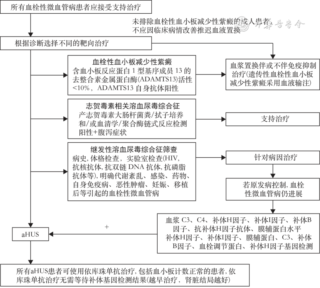 Expert Consensus on Diagnosis and Treatment of Complement-Related Kidney Disease