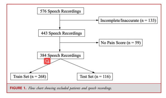 Daily Pain Prediction Using Smartphone Speech Recordings