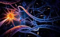 Fundamentals of Neural Networks