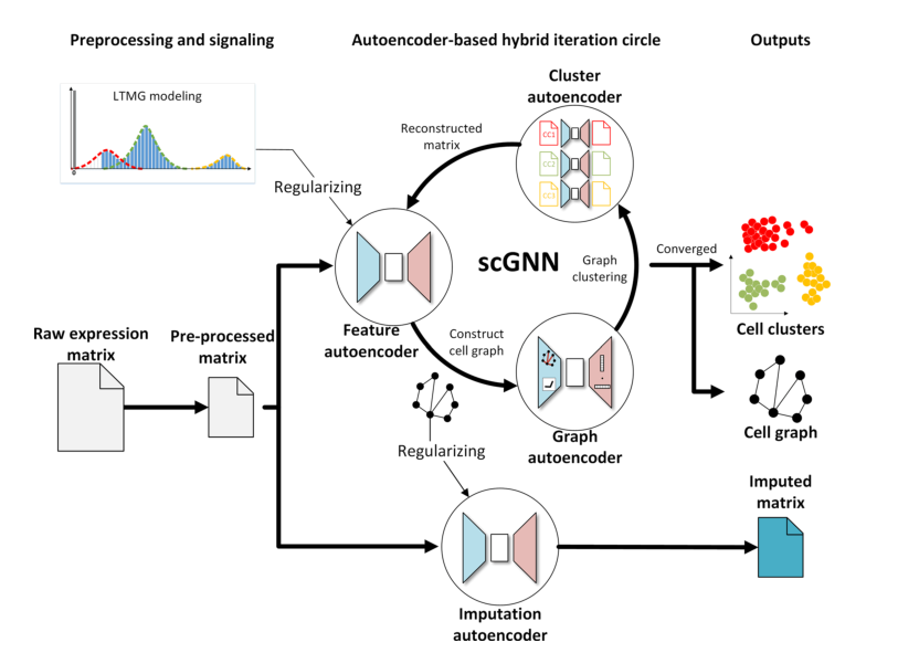 Novel Graph Neural Network Framework for Single-Cell RNA-Seq