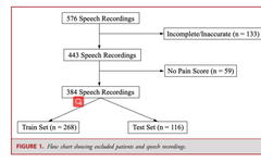 Daily Pain Prediction Using Smartphone Speech Recordings