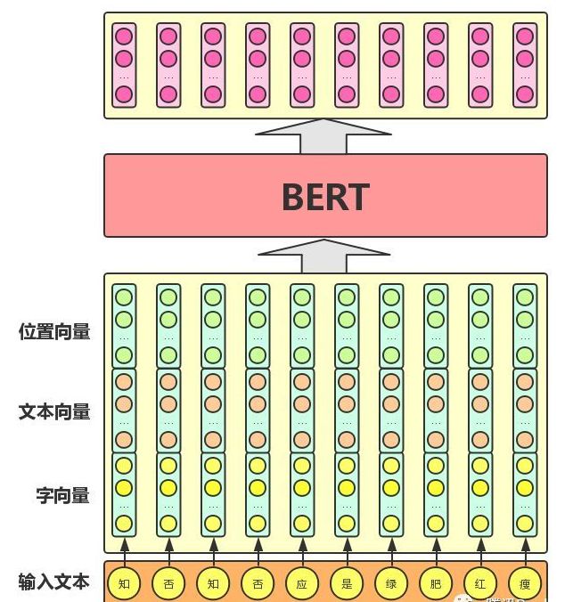 Understanding BERT: Interview Questions and Insights