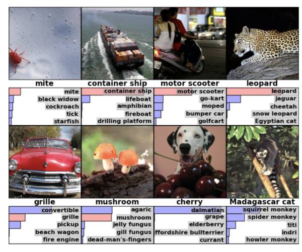 Understanding Objective Functions in Neural Networks