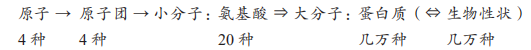 Yuan Yulin: Language Design Principles Under Human Habitat Constraints
