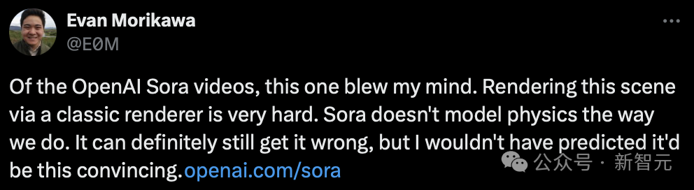 Exploring OpenAI's Sora Video Model: A Technical Report
