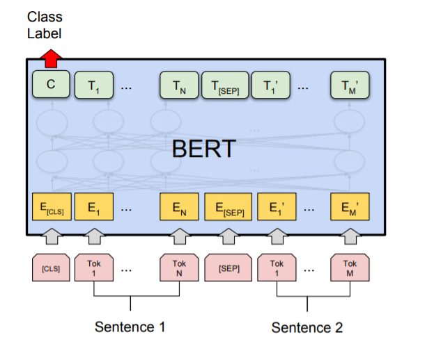 Understanding BERT: Interview Questions and Insights