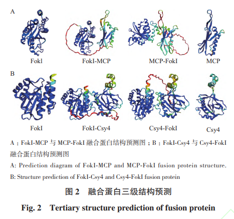 Study on a Novel Mini Genome Editing System Based on Csy4 and MCP