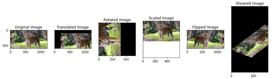 Introduction to Basic Tasks in Computer Vision