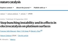 This Nature Catalysis Focuses on Electrocatalytic Active Site Structure!