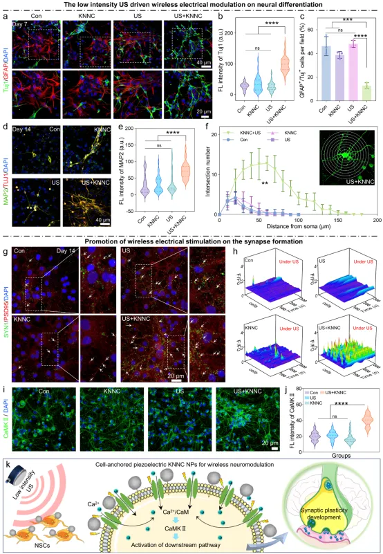 Cell-Anchored Lead-Free Piezoelectric KNN NPs for Neuromodulation