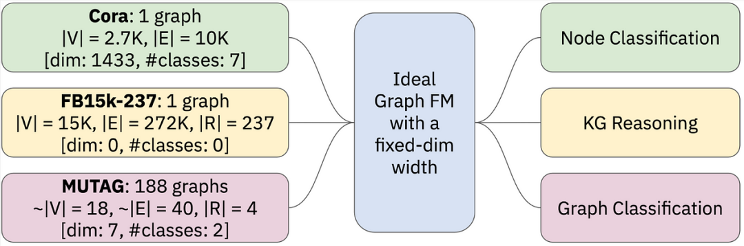 Foundation Models of Graphs and Geometric Deep Learning