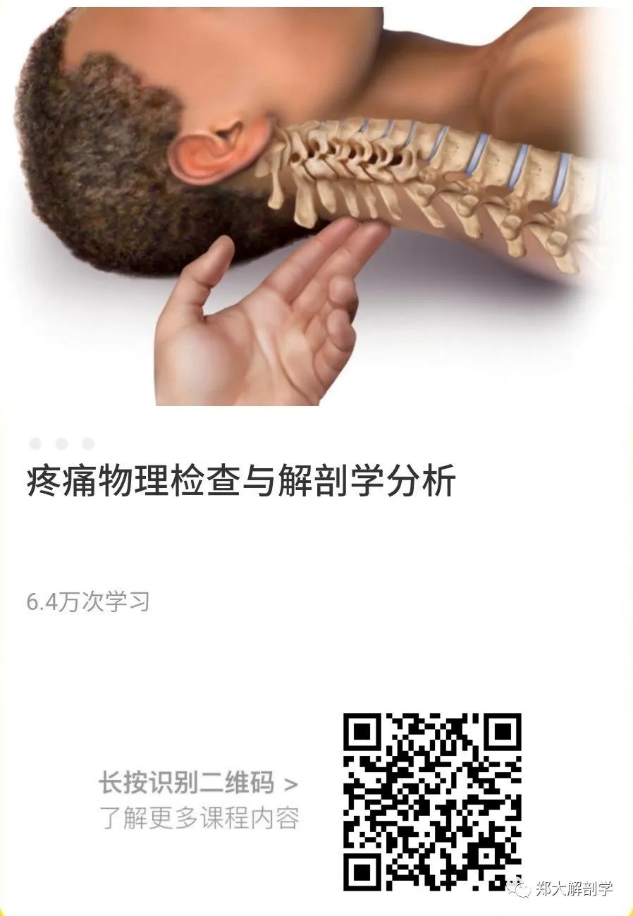 MCP or PIP/DIP Joint Extension Assessment