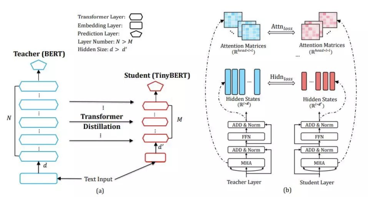 A Detailed Overview of BERT Model Compression Methods