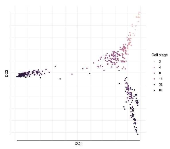 Single-Cell RNA-Seq Analysis: Diffusion Pseudotime Reconstruction of Single-Cell Lineage Branching