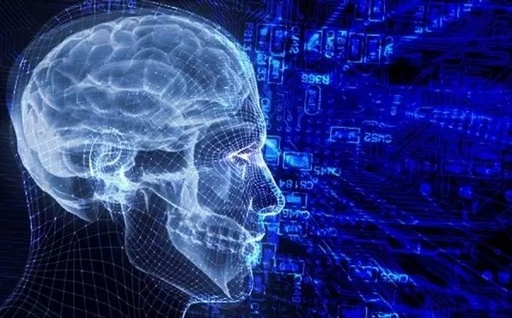 Do Neural Network Algorithms Create Copyrightable Works?