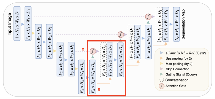 Implementing Attention Mechanism for Medical Image Segmentation in PyTorch
