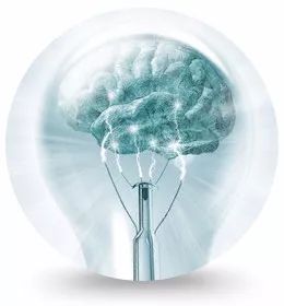 Fourteen Psychological Laws of NLP