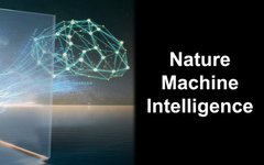 Training Large-Scale Photonic Neural Networks
