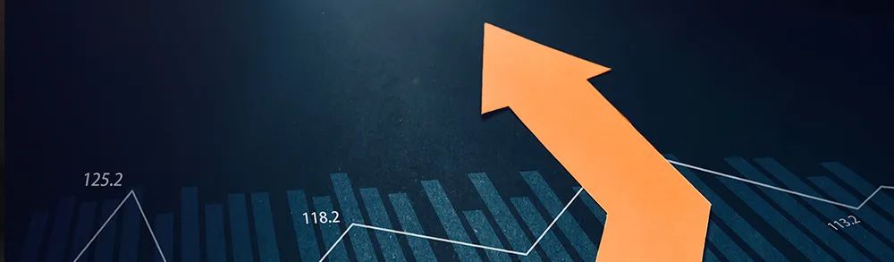 Exploring Intelligent Auditing in Power Grid Project Audits