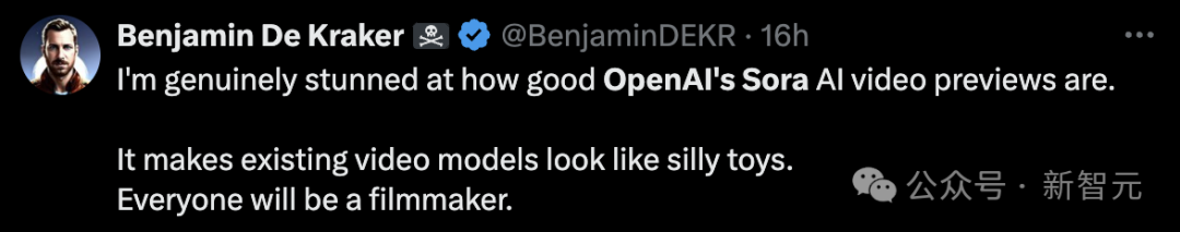 Exploring OpenAI's Sora Video Model: A Technical Report