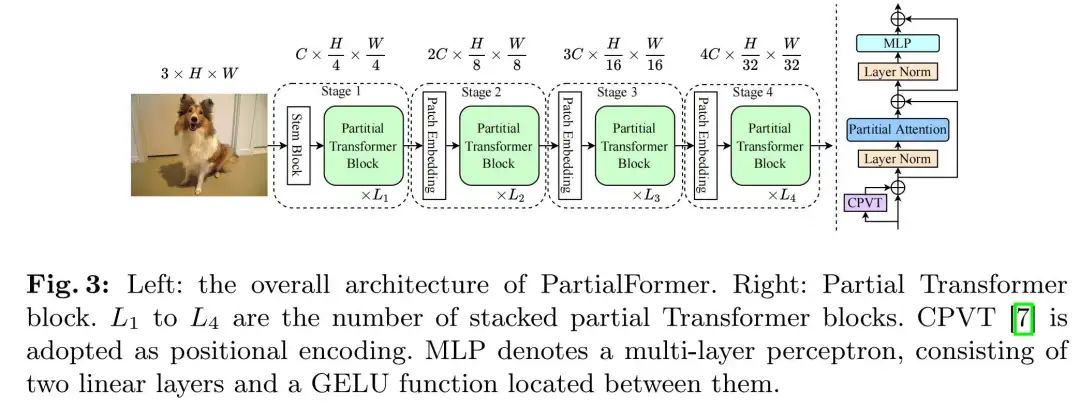 Efficient Vision Transformers With Partial Attention