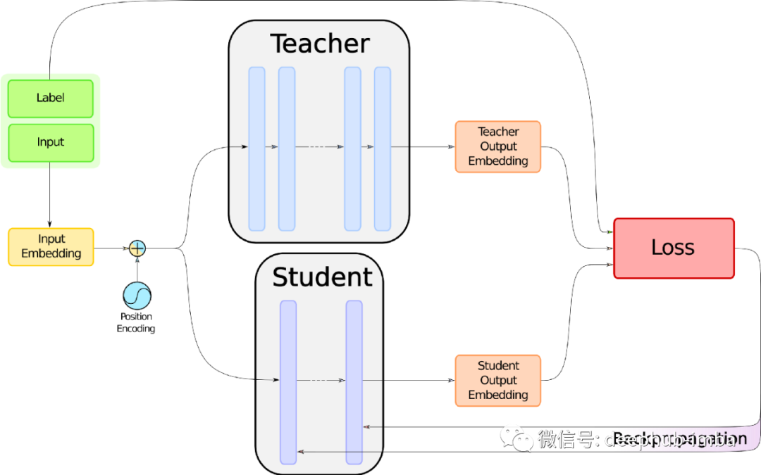 Implementing DistilBERT: A Distilled BERT Model Code