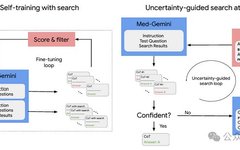 Revolutionary Applications of Google's Gemini in Medical AI