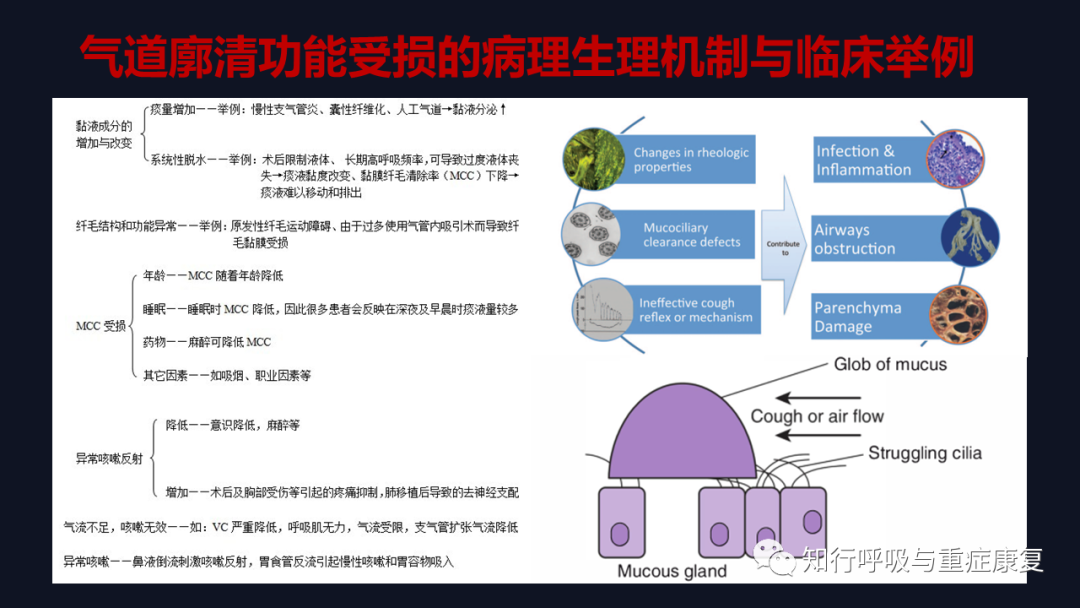 Airway Clearance Techniques - Physiological Basis