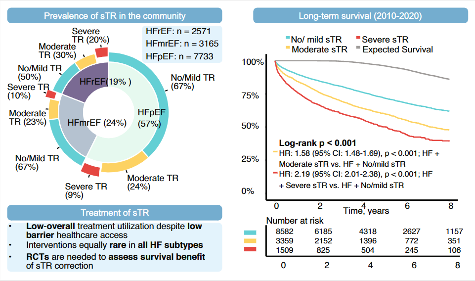 Research Approach: Building and Validating the TRIO Scoring Model