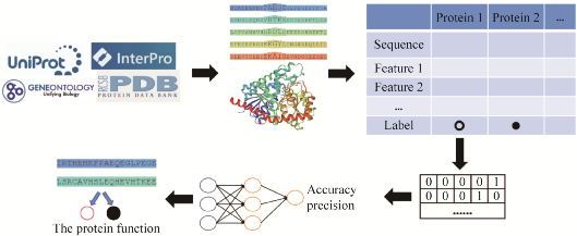 Research Progress of Machine Learning in Protein Function Prediction